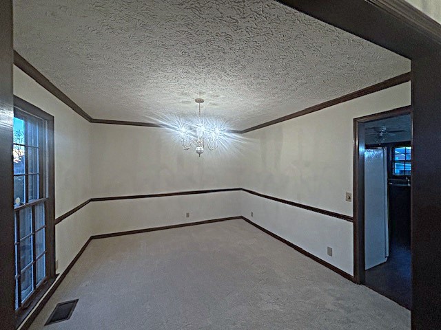 4803 Wayside Dr Property Photo 13
