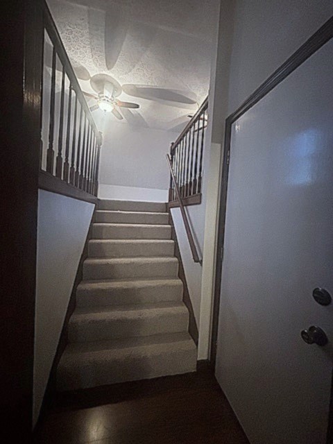 4803 Wayside Dr Property Photo 32