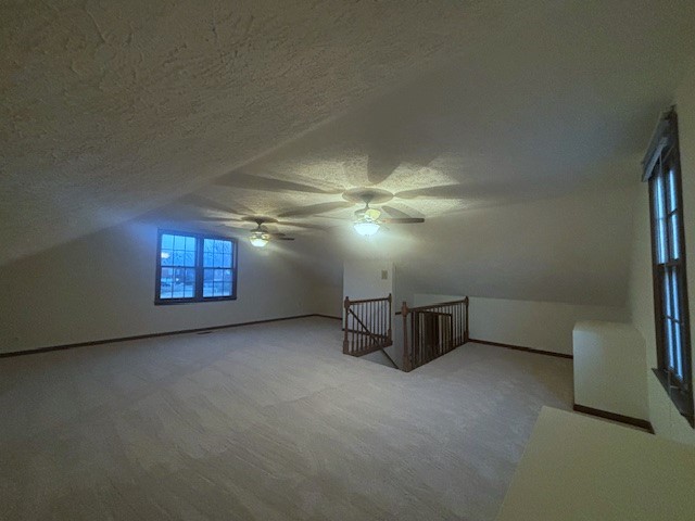 4803 Wayside Dr Property Photo 35