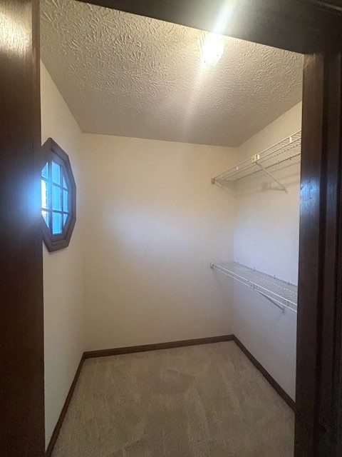 4803 Wayside Dr Property Photo 46