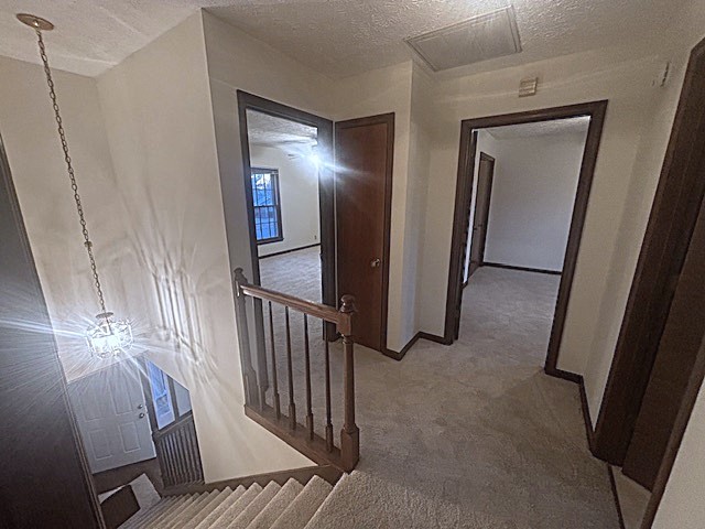 4803 Wayside Dr Property Photo 49