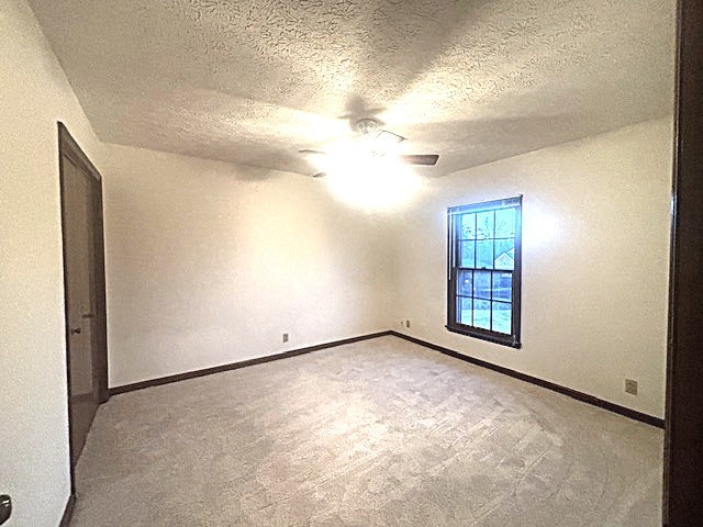 4803 Wayside Dr Property Photo 50