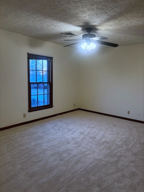 4803 Wayside Dr Property Photo 55