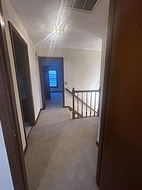 4803 Wayside Dr Property Photo 58