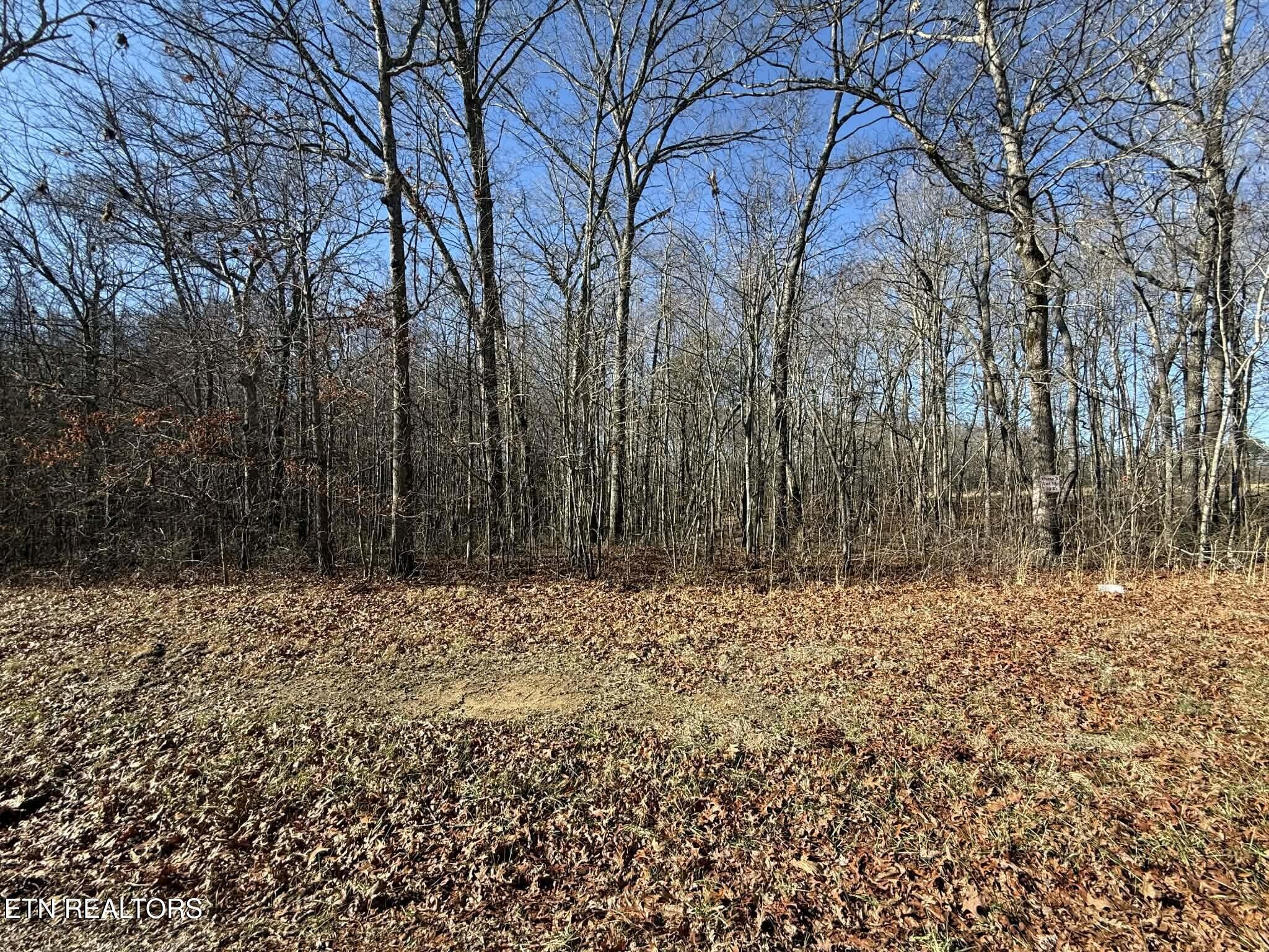 0 Georgee Road Property Photo 1