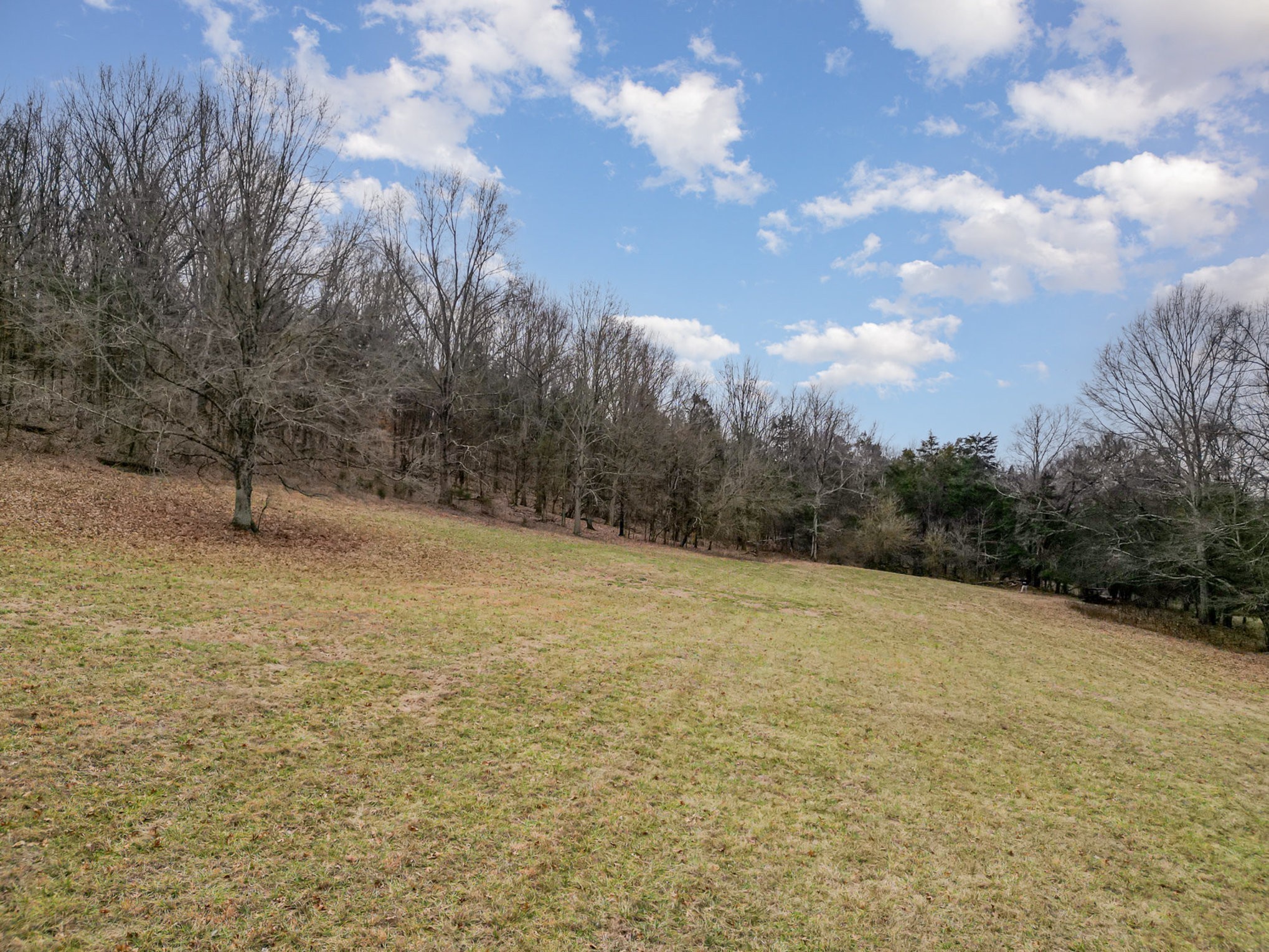 4511 Harpeth School Rd Property Photo 3