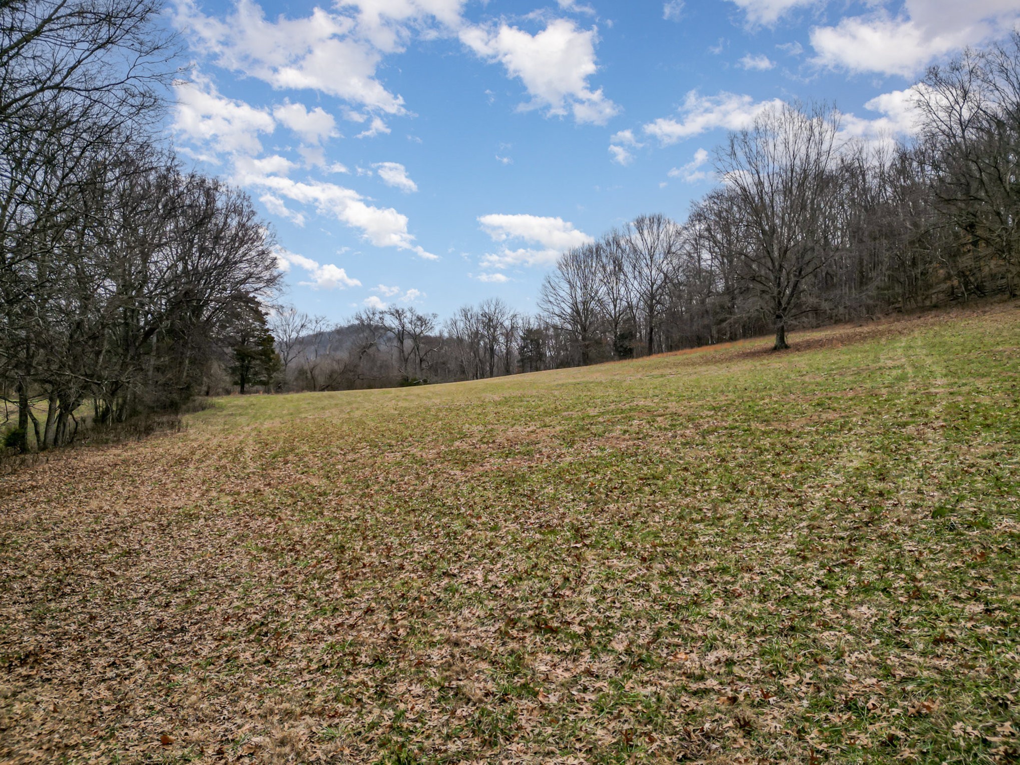4511 Harpeth School Rd Property Photo 4