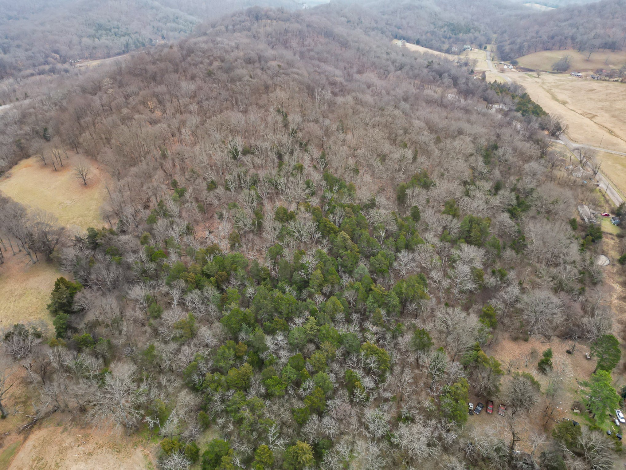 4511 Harpeth School Rd Property Photo 7