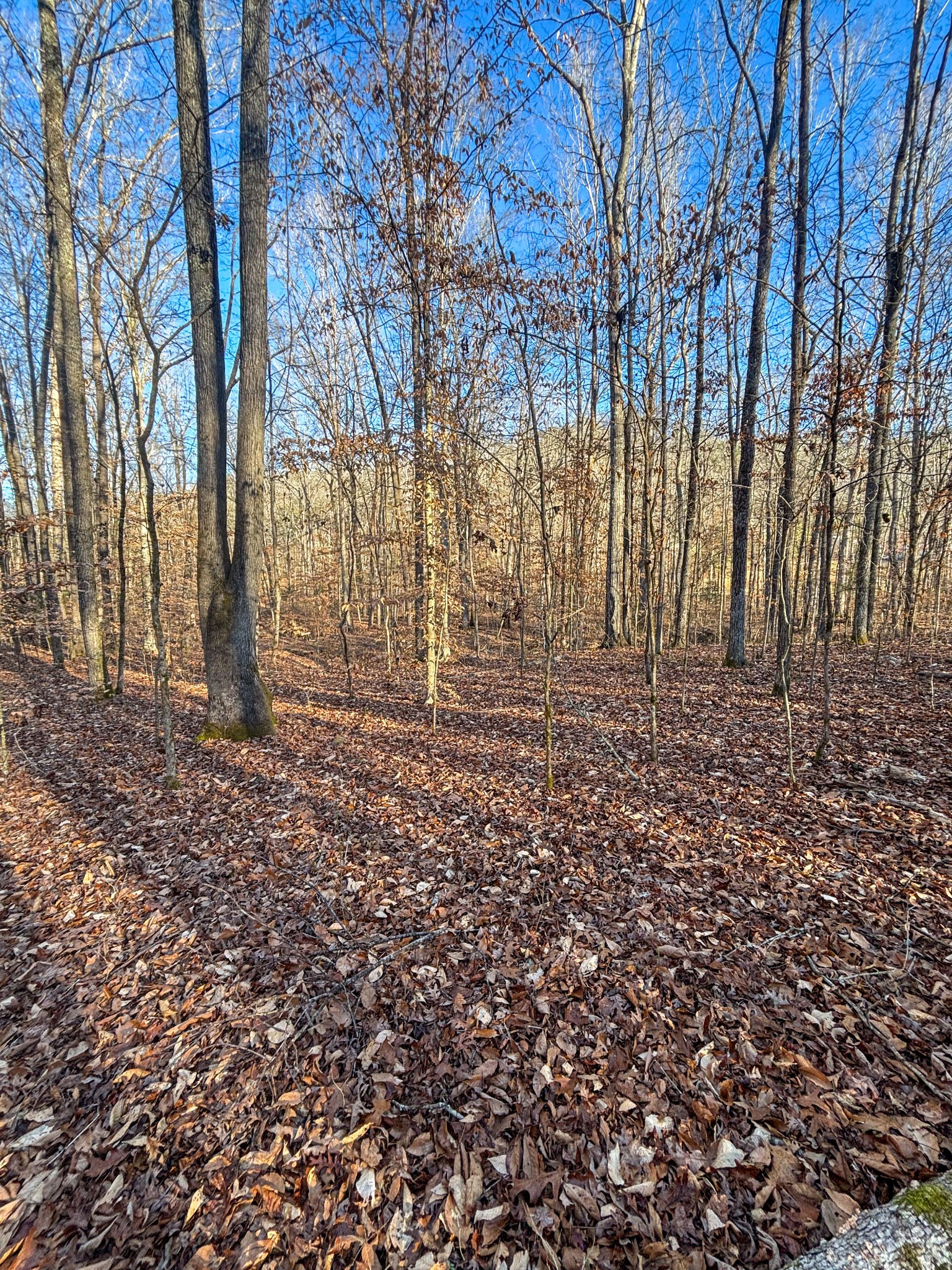 0 Only Rd Property Photo 5