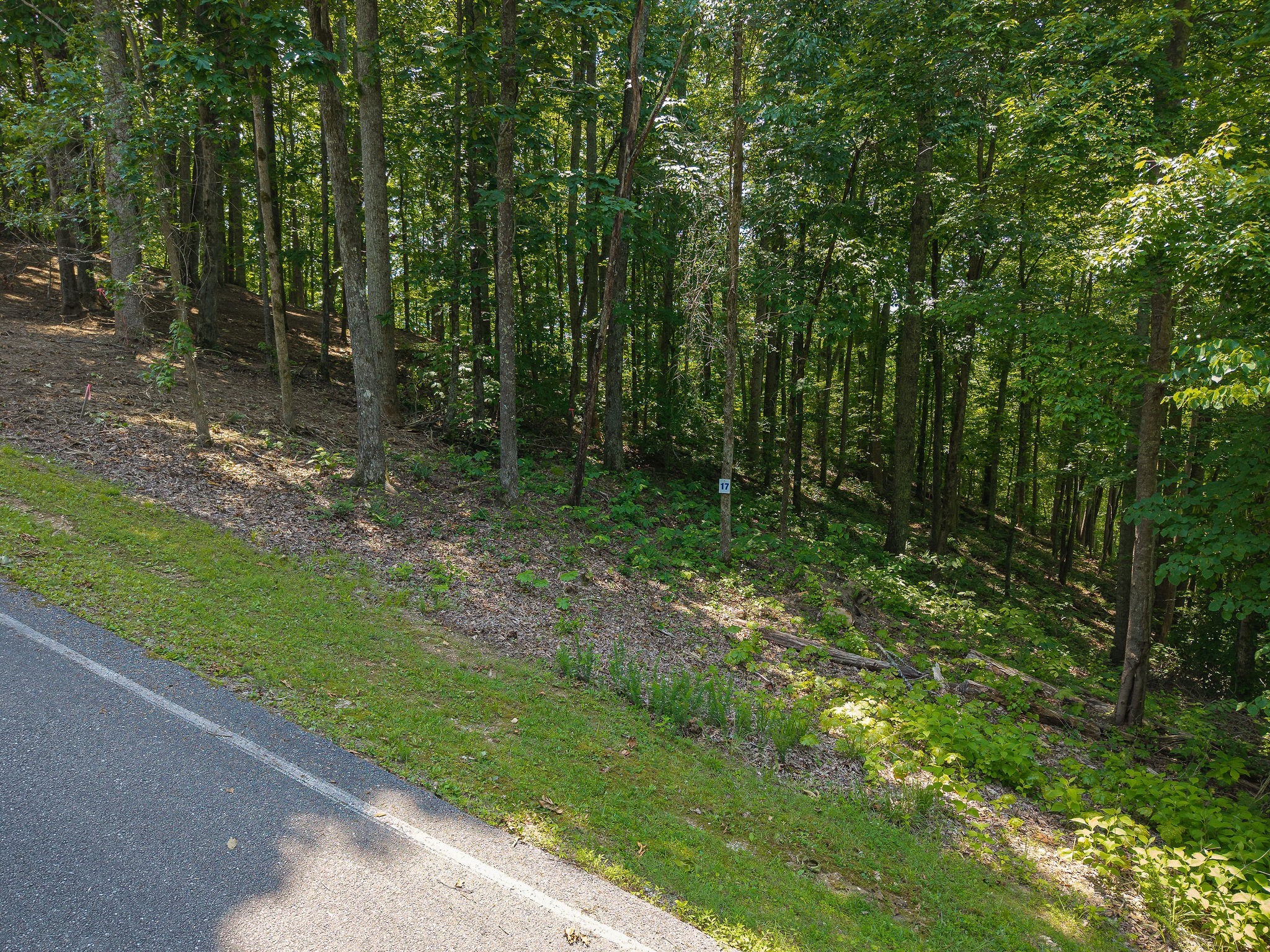 0 Bridge Pointe Rd Property Photo 5
