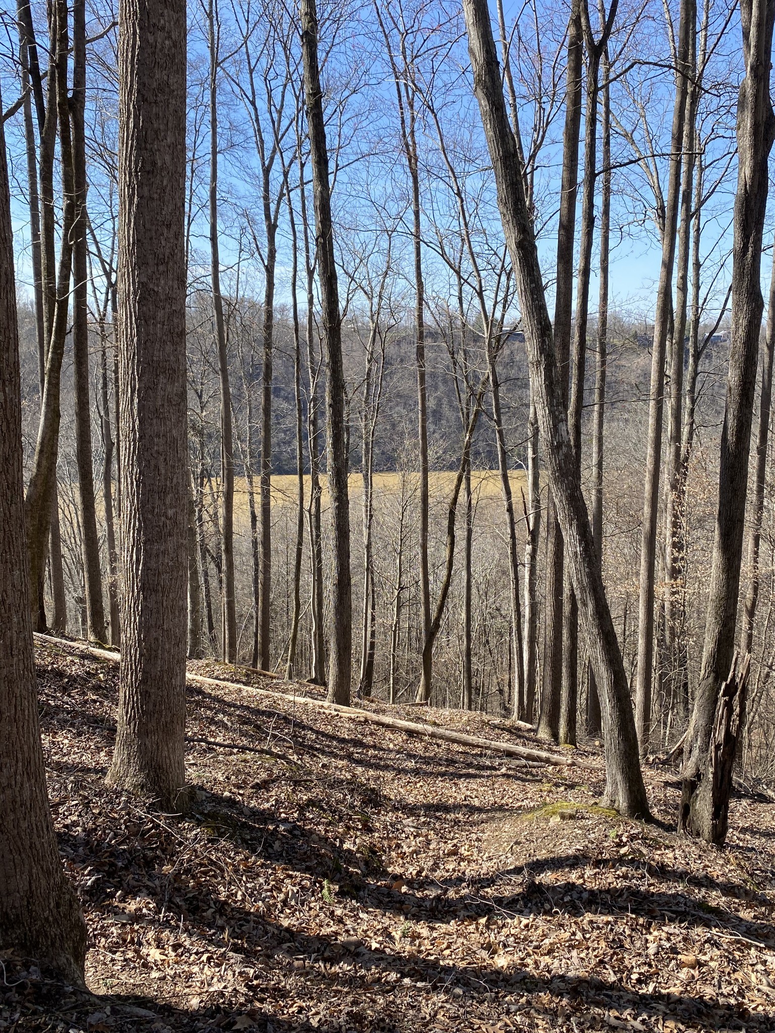 0 Bridge Pointe Rd Property Photo 9