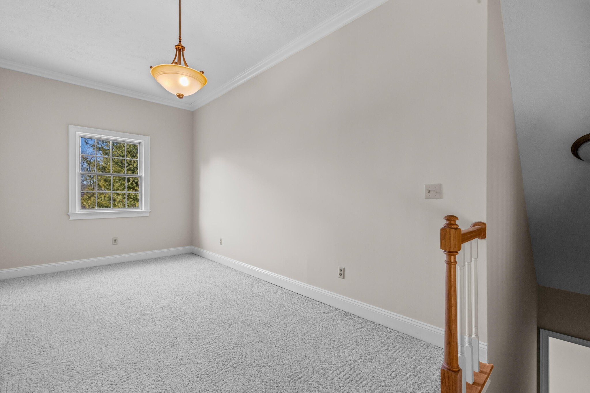 7900 Clara Chase Drive Property Photo 33
