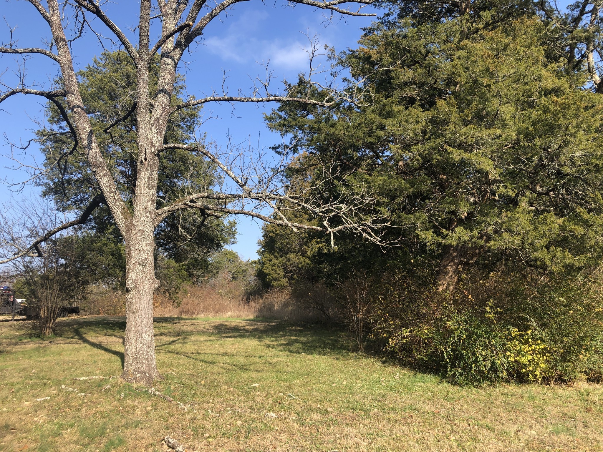 433 Old Hickory Blvd Property Photo 3