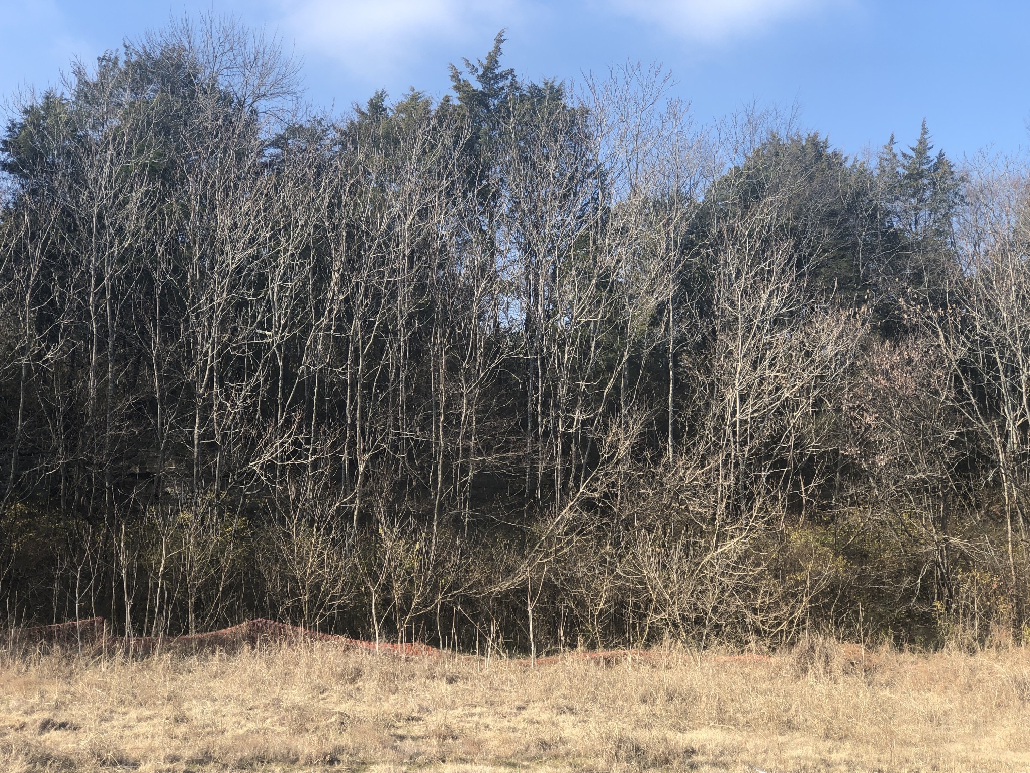 433 Old Hickory Blvd Property Photo 4