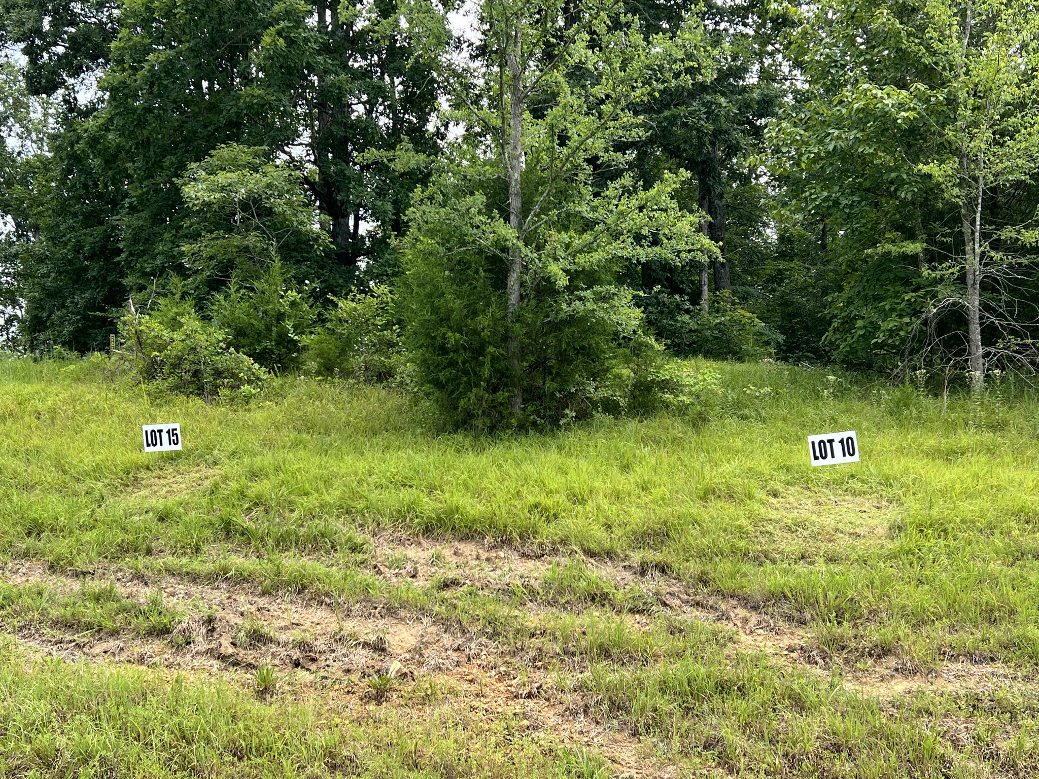0 Hwy 7 Property Photo 4