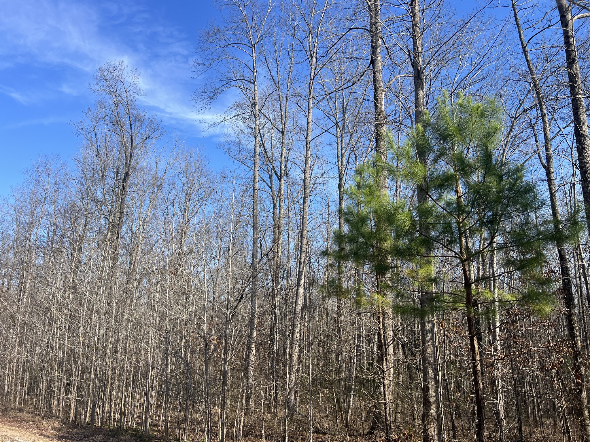 240 War Eagle Dr Lot 121 Property Photo 1
