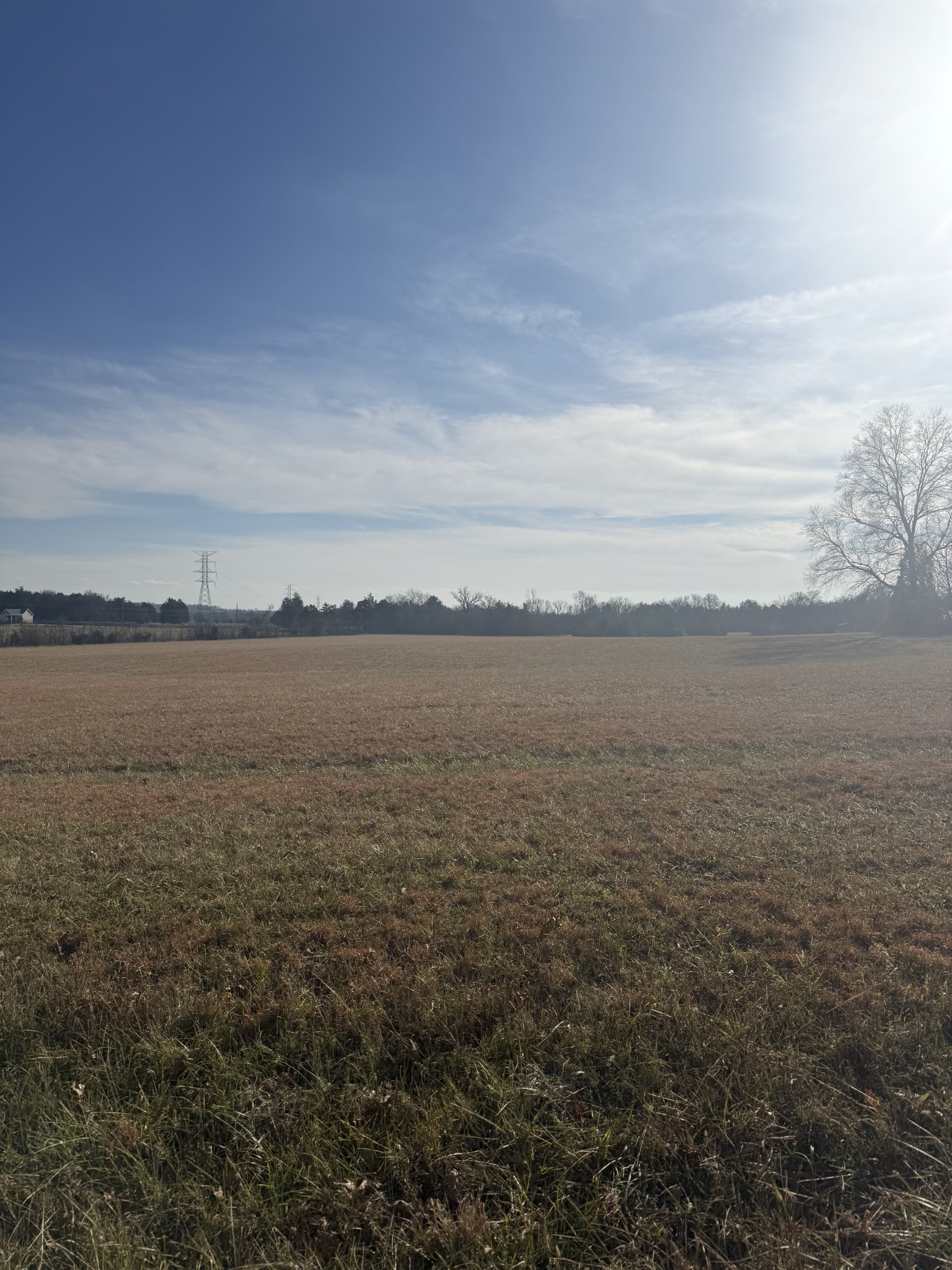 2326 Holly Grove Road Property Photo 1