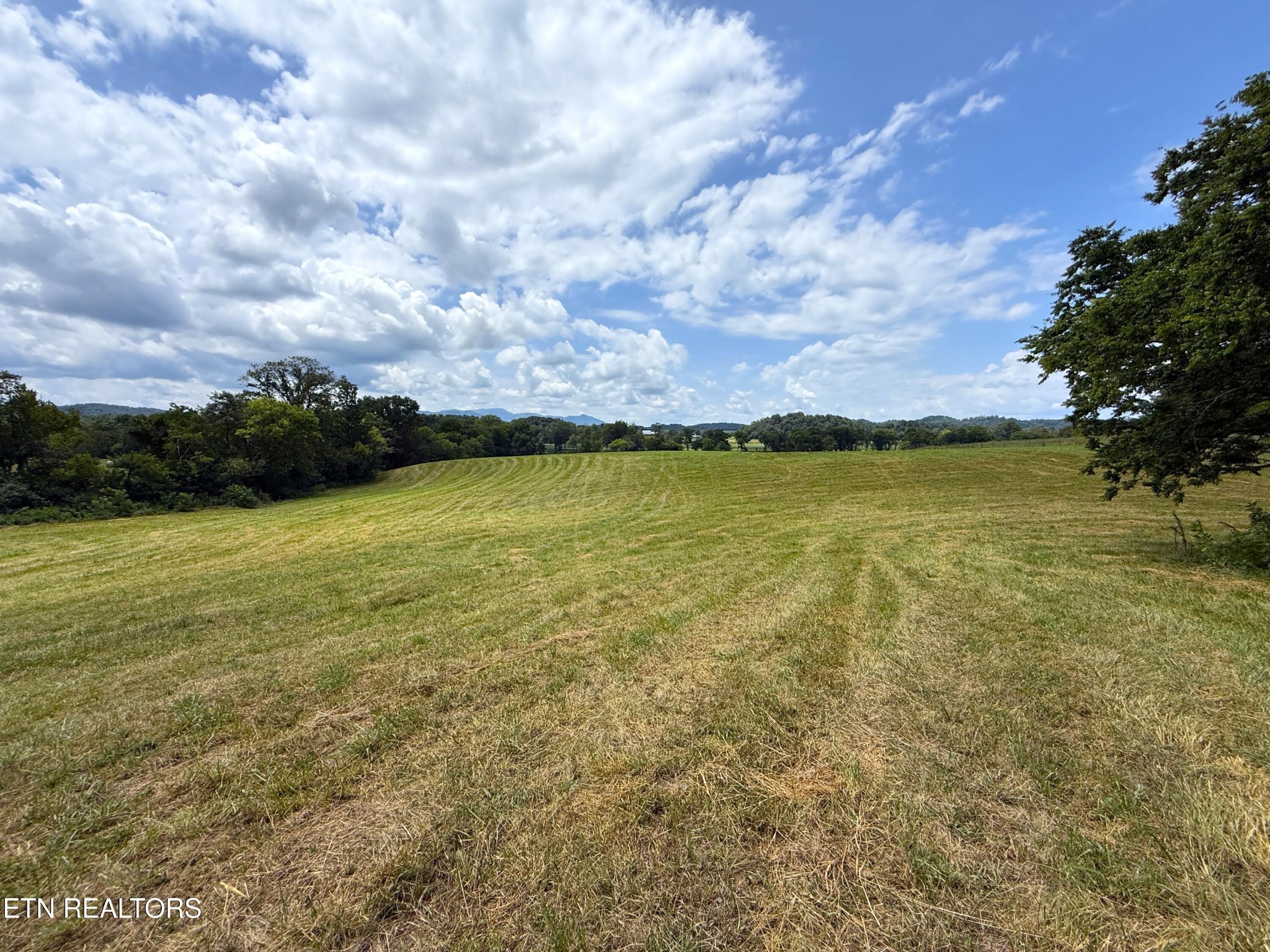 565 Highway 160 Property Photo 3