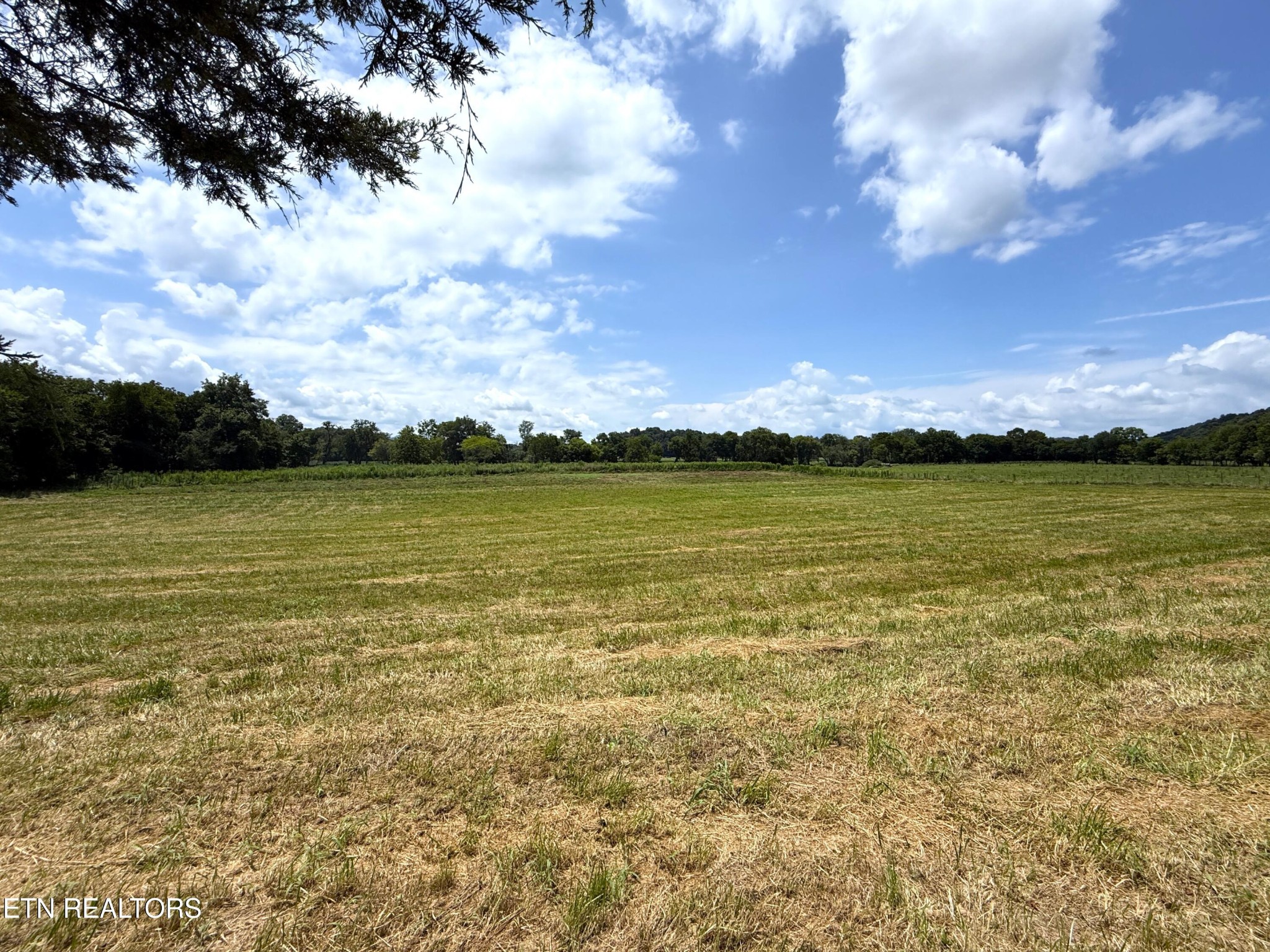 565 Highway 160 Property Photo 7