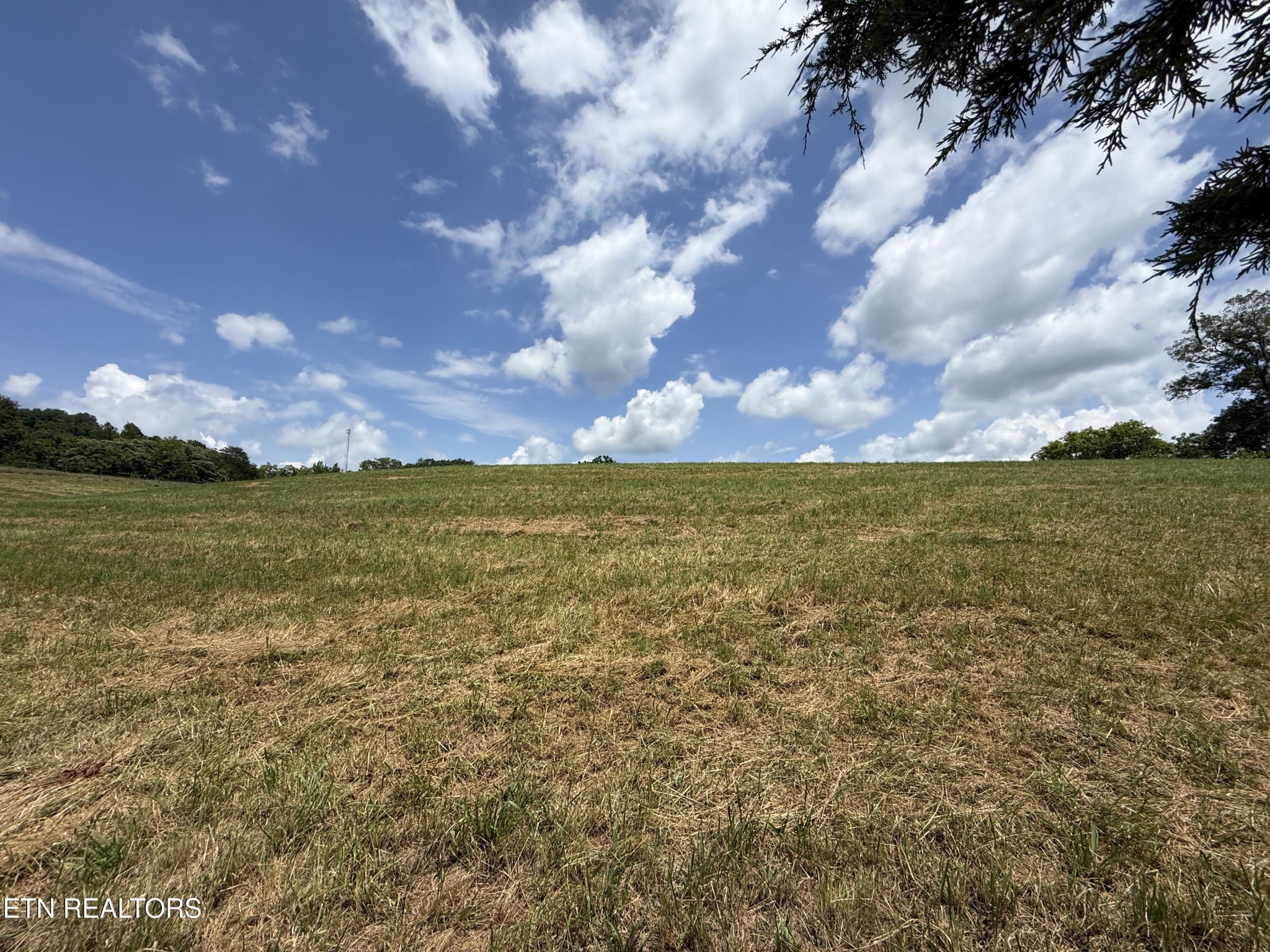 565 Highway 160 Property Photo 8