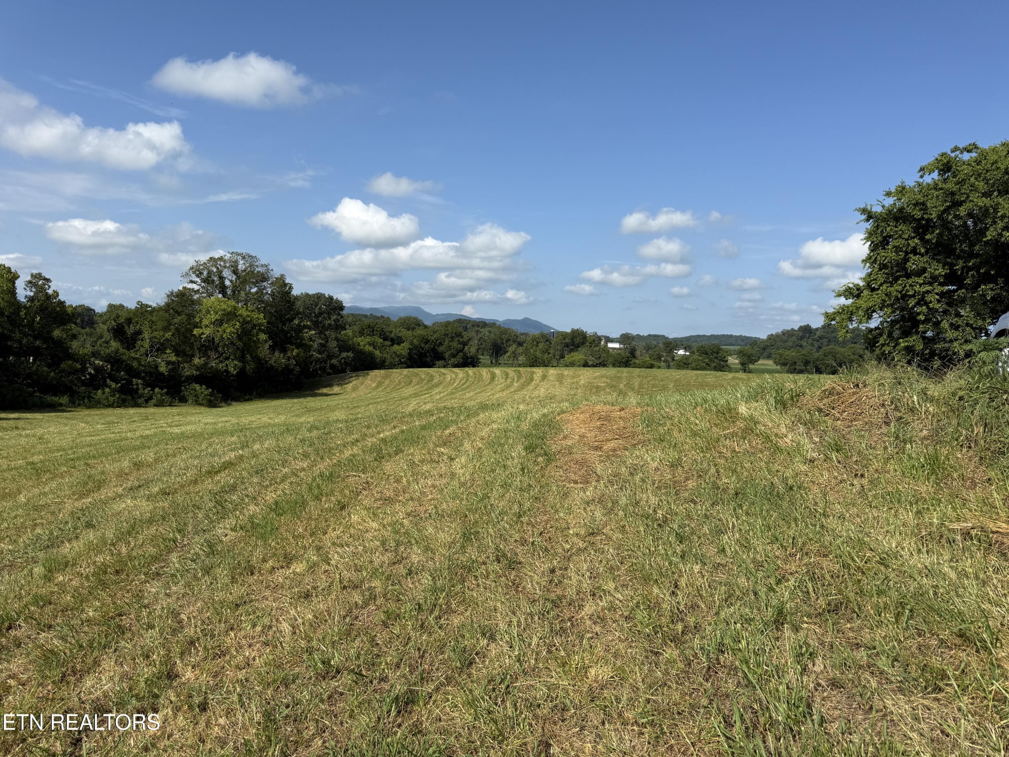 565 Highway 160 Property Photo 9