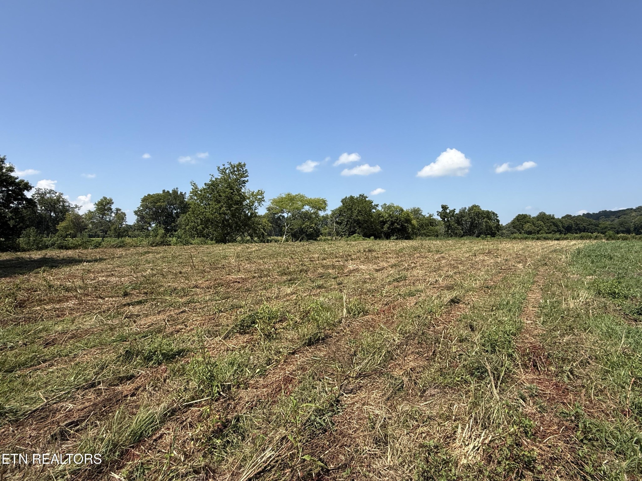 565 Highway 160 Property Photo 16