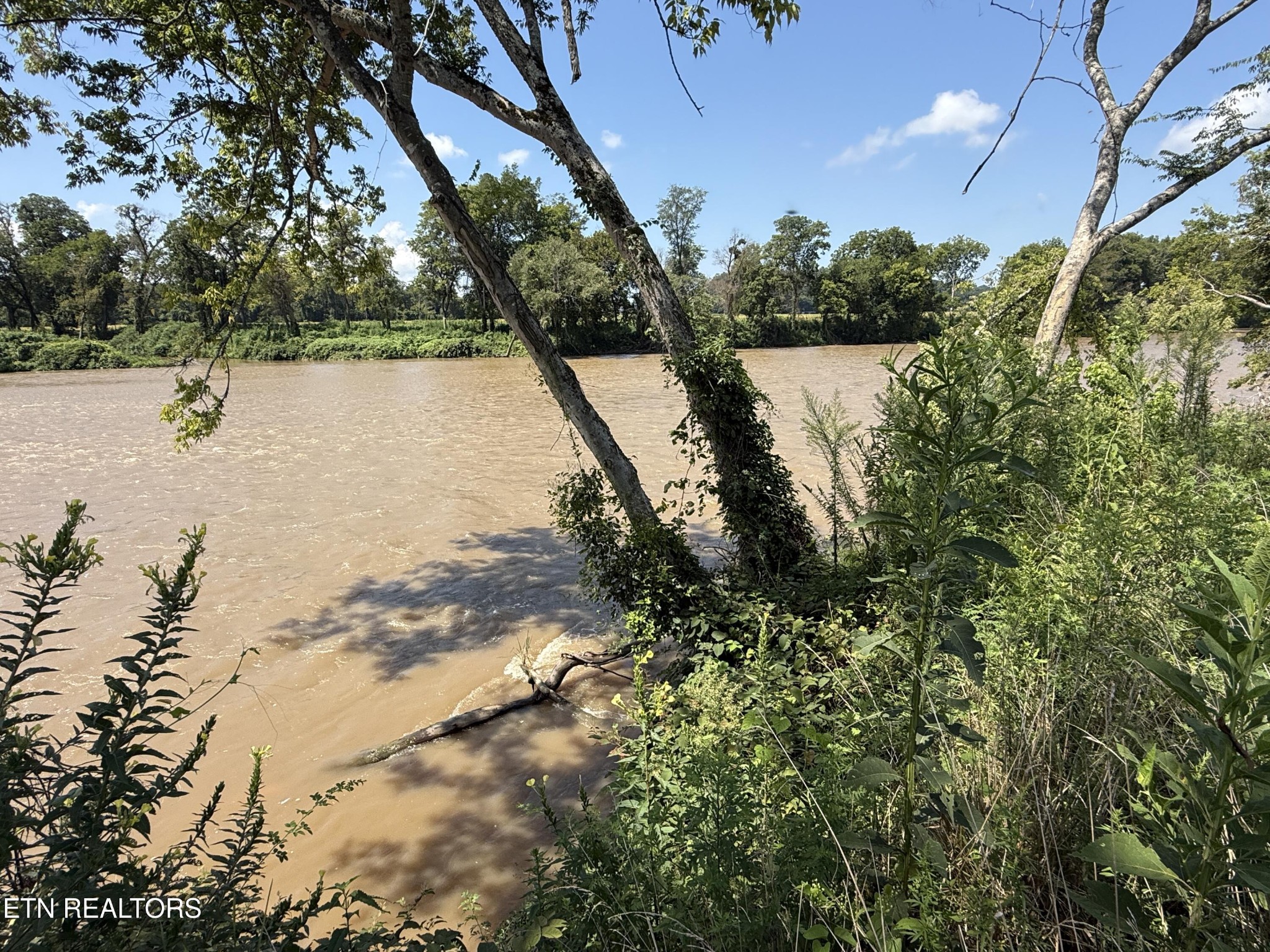 565 Highway 160 Property Photo 18