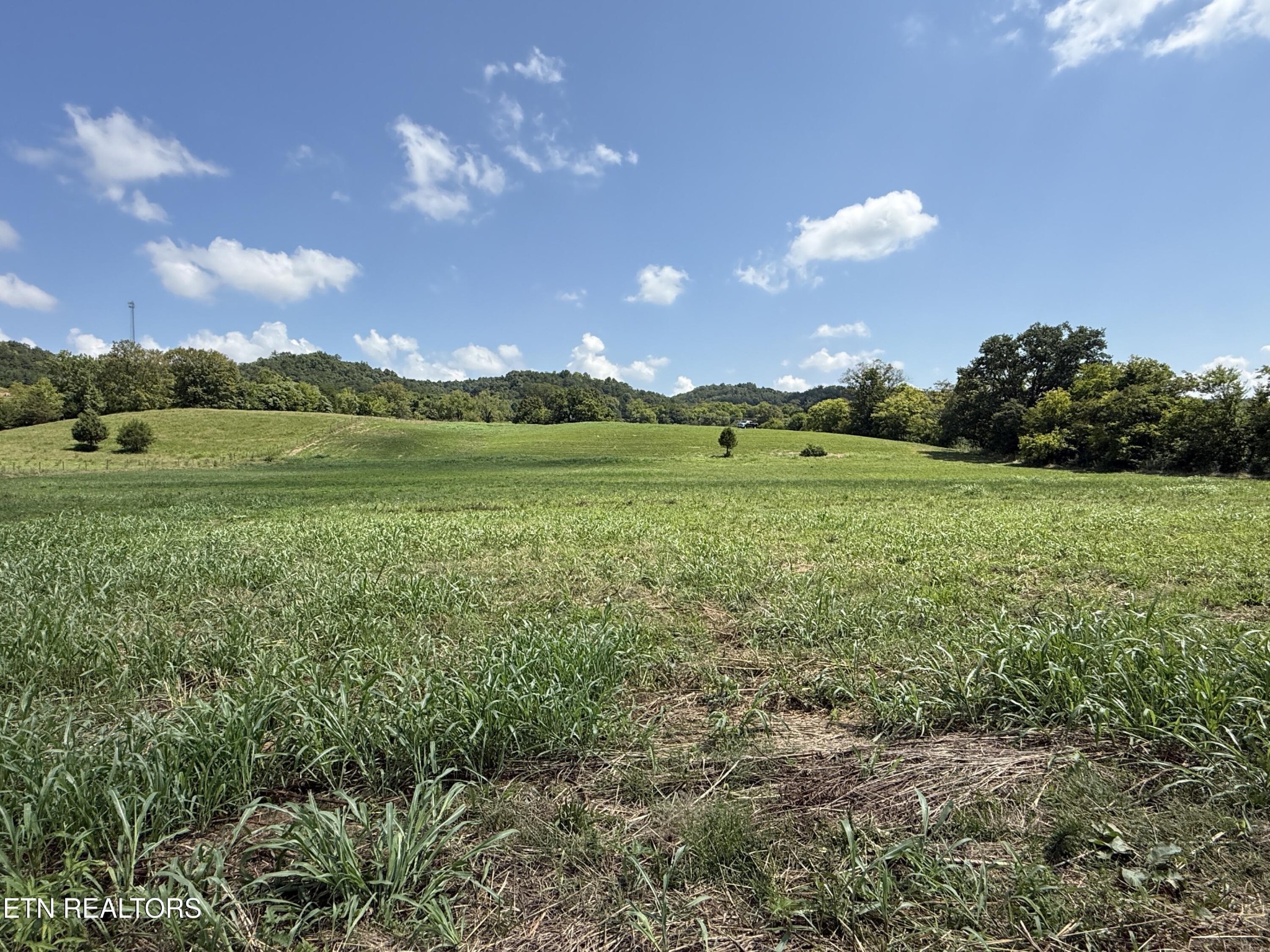 565 Highway 160 Property Photo 21