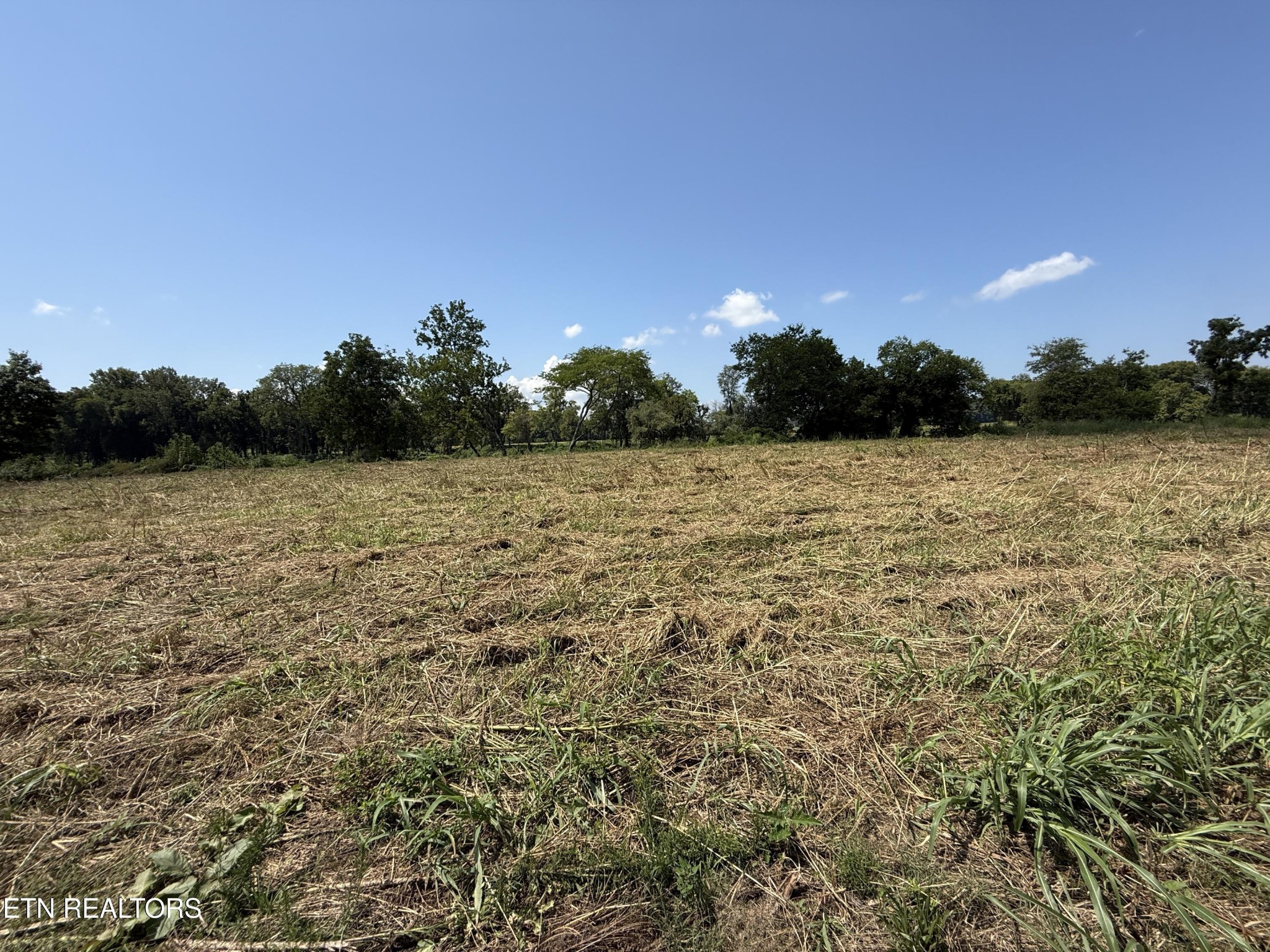 565 Highway 160 Property Photo 23