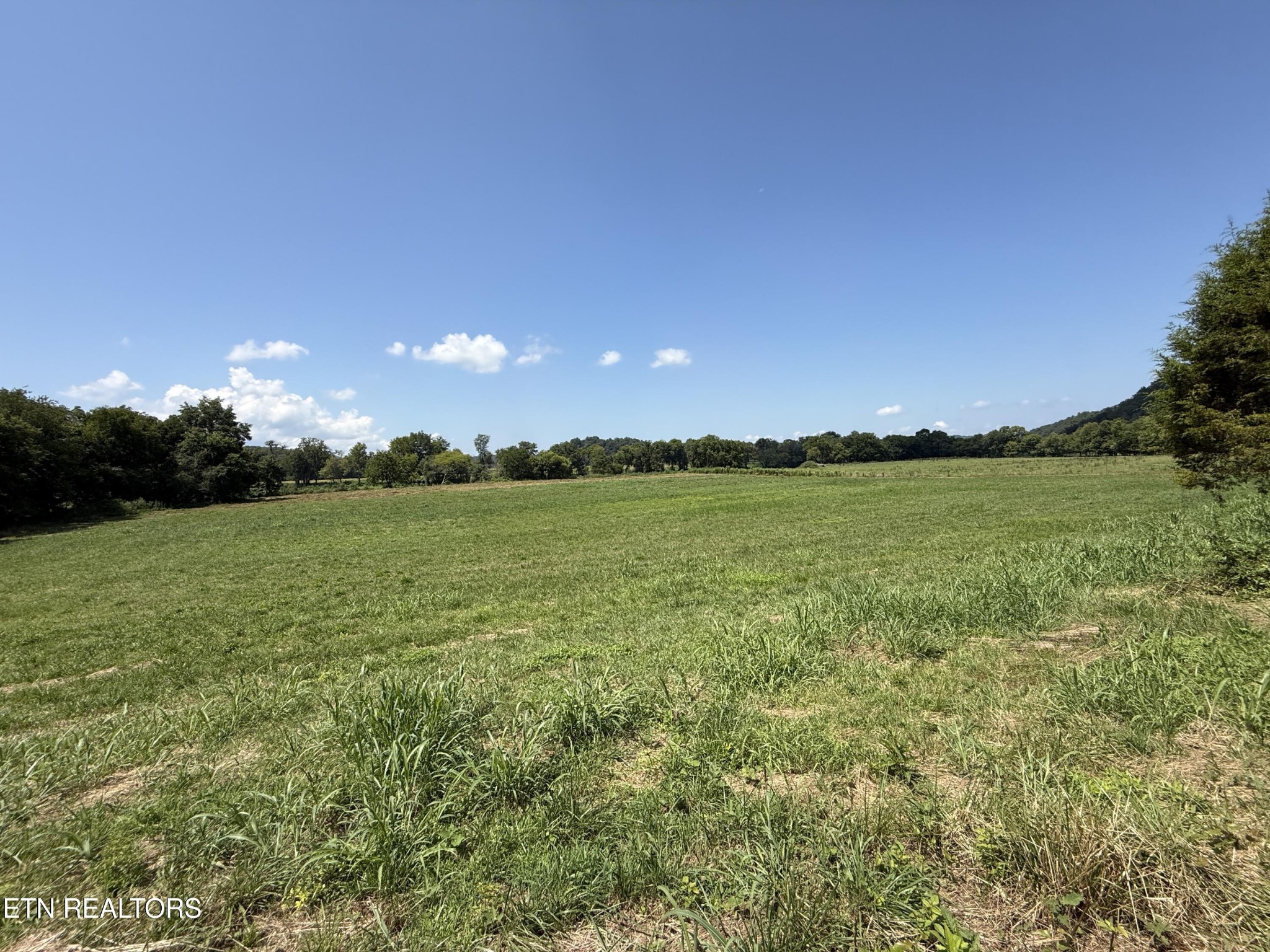 565 Highway 160 Property Photo 24