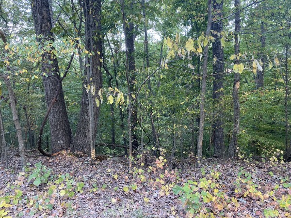 1241 Broadway Ave Property Photo 1
