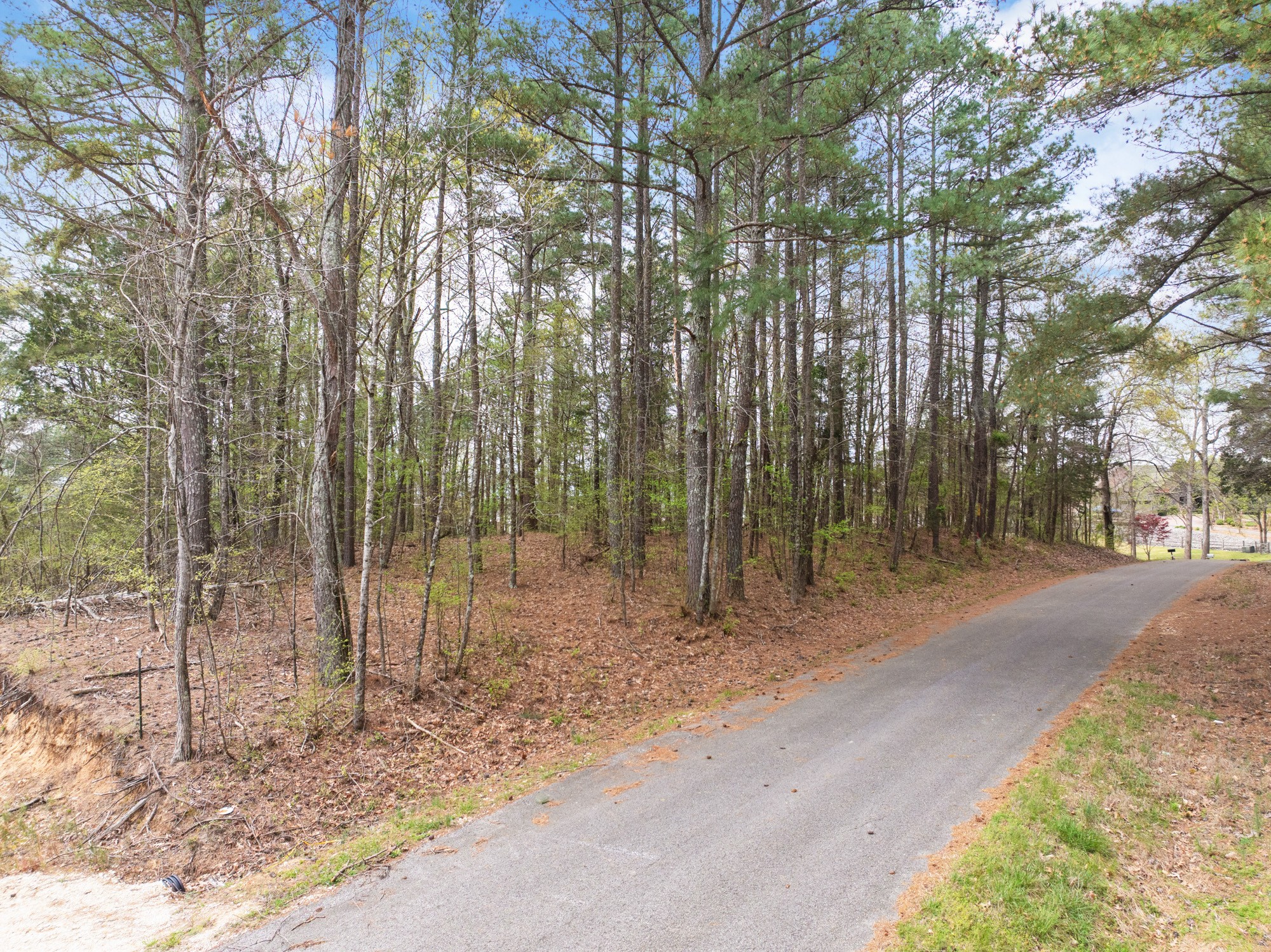 0 Branch Loop Property Photo 2