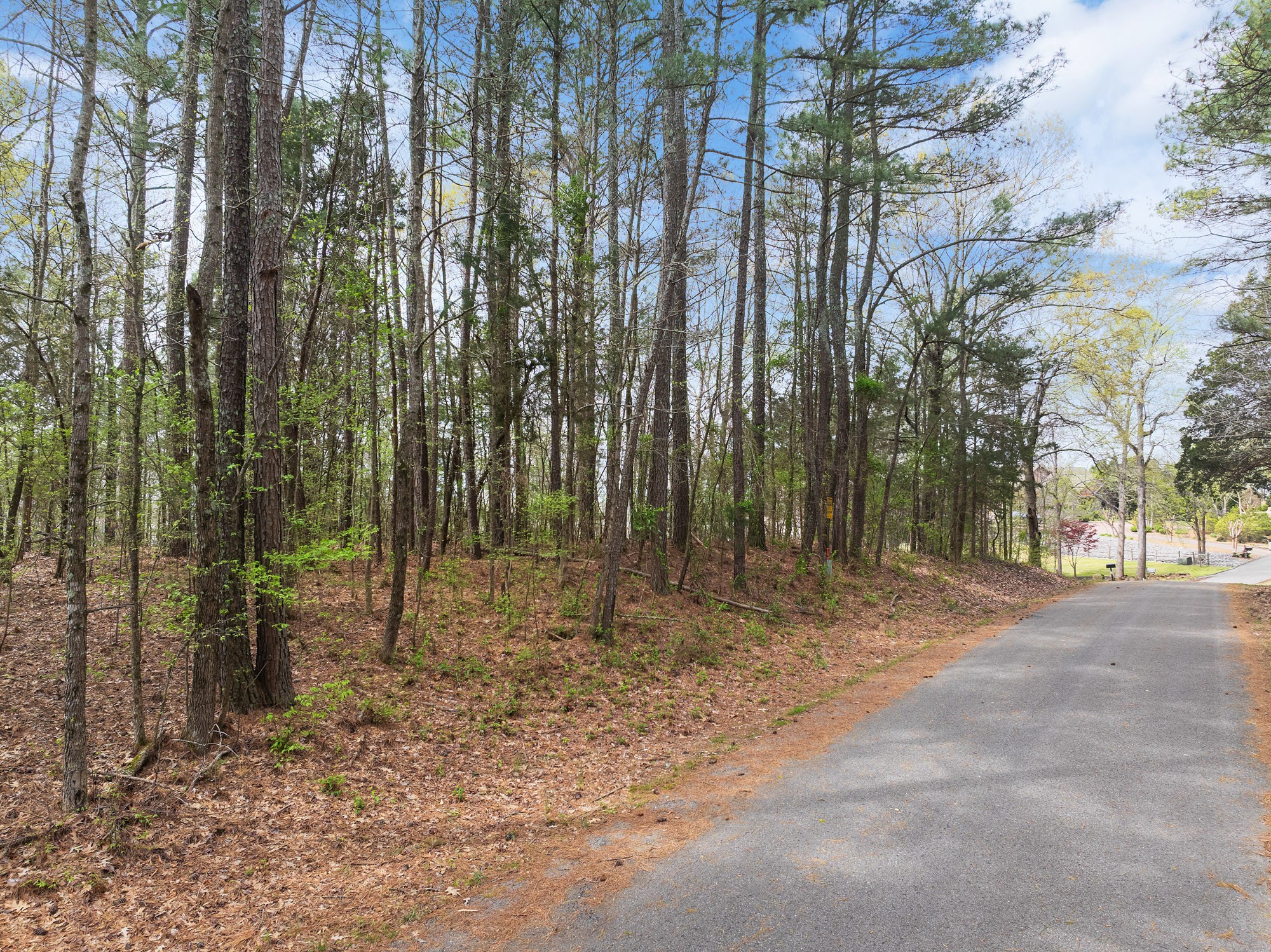 0 Branch Loop Property Photo 3