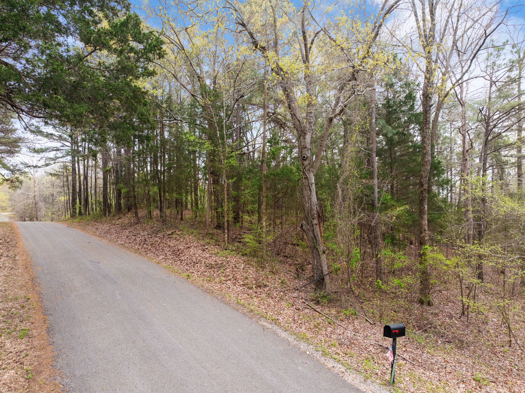 0 Branch Loop Property Photo 4