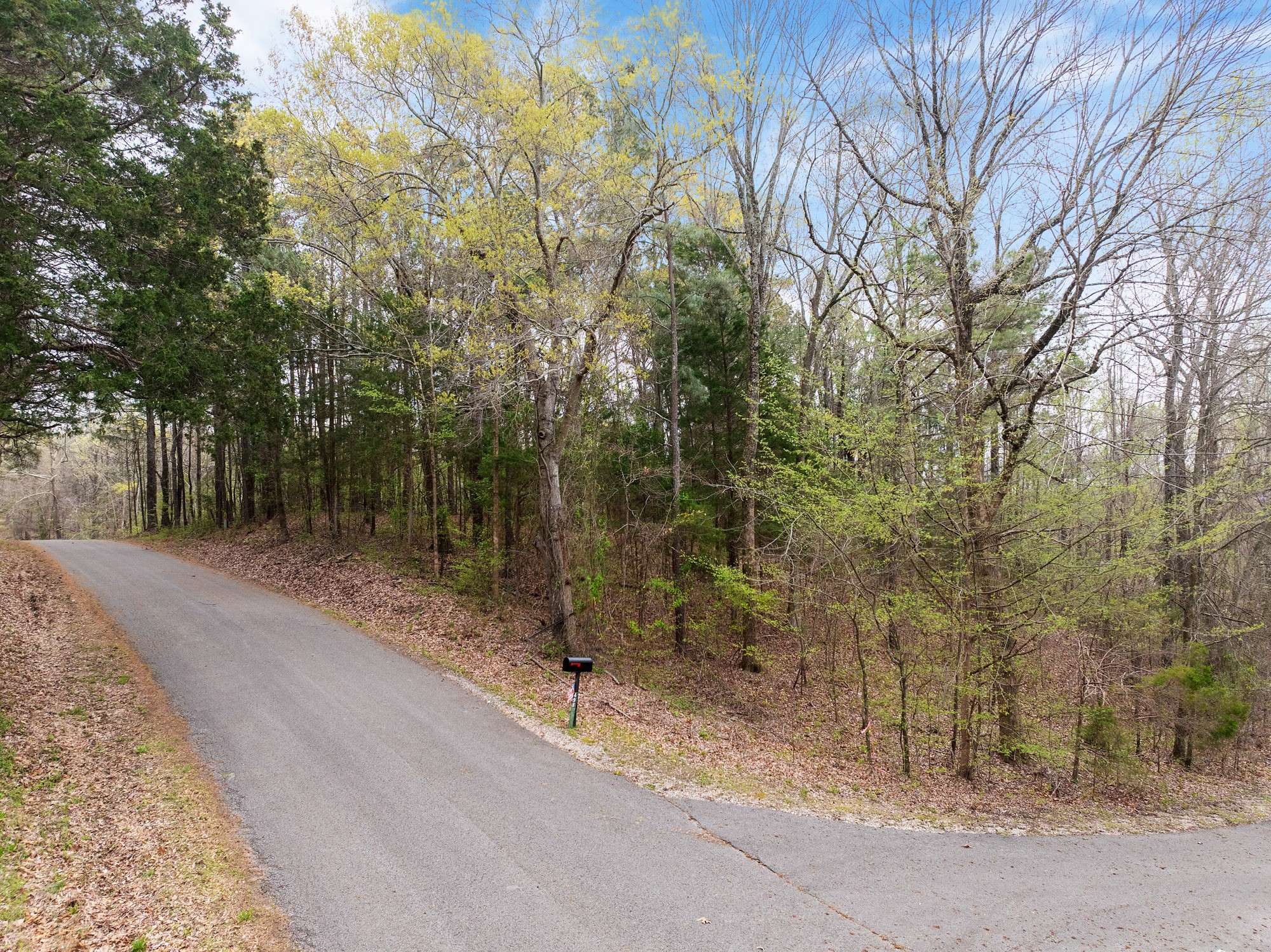 0 Branch Loop Property Photo 5