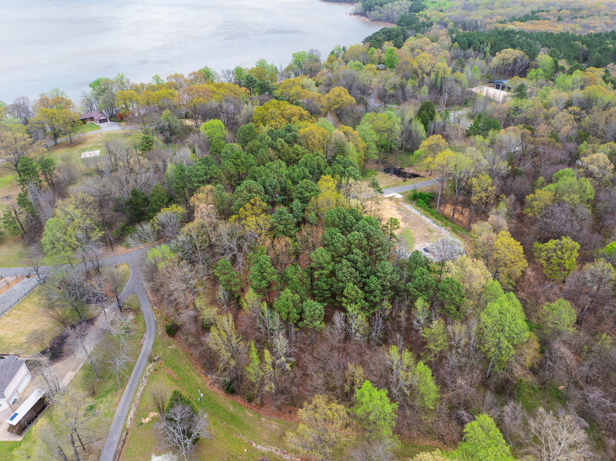 0 Branch Loop Property Photo 10