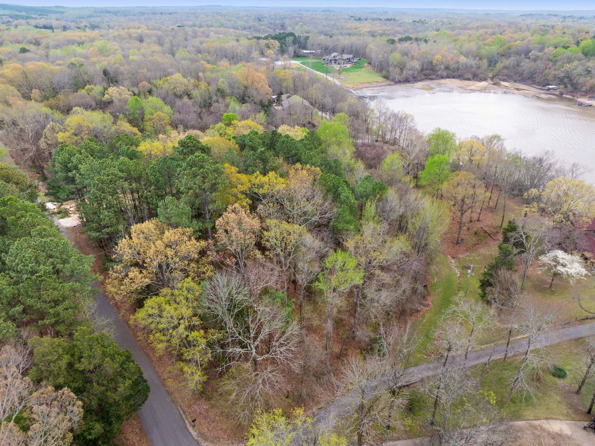 0 Branch Loop Property Photo 15