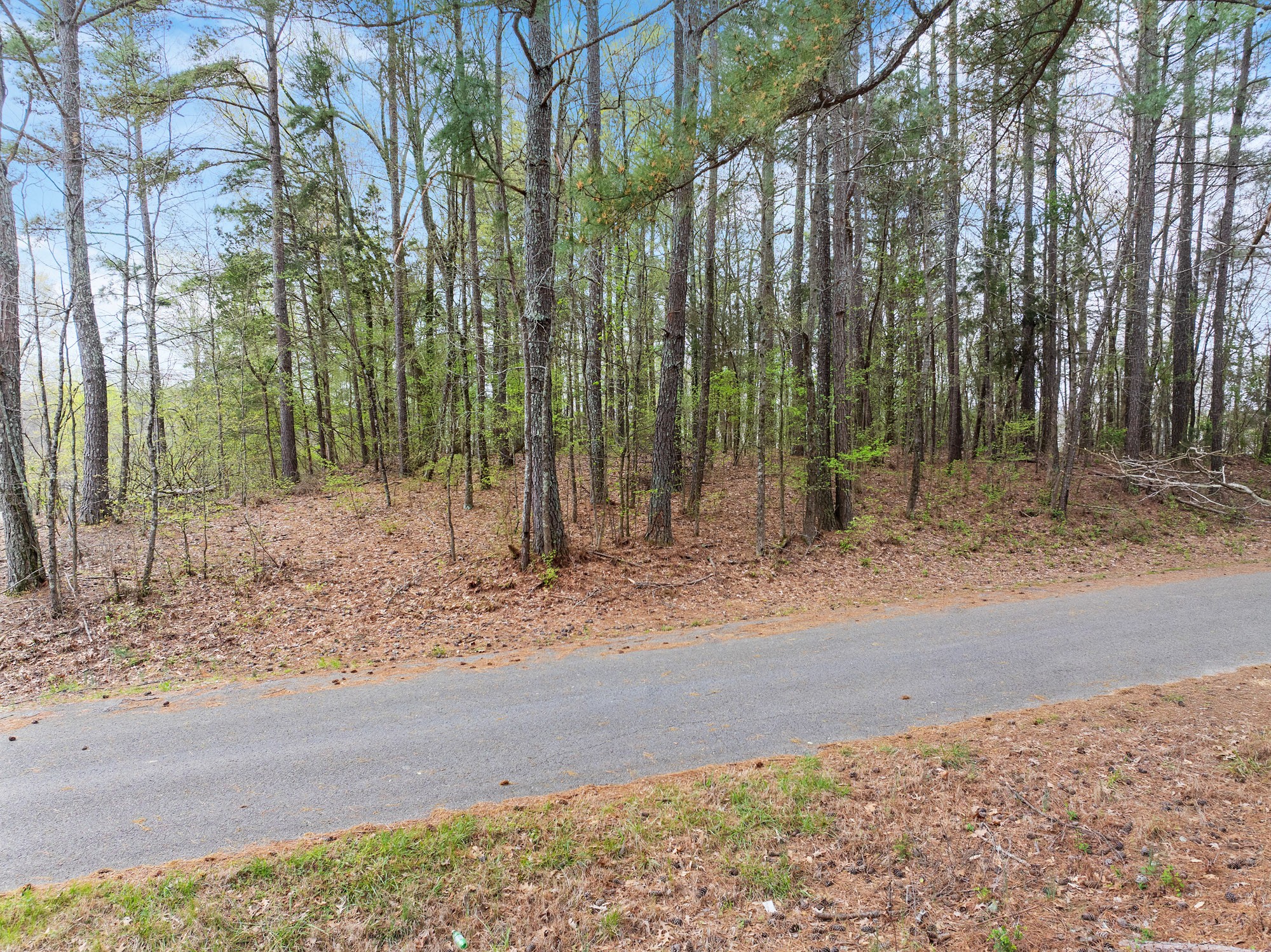 0 Branch Loop Property Photo 16