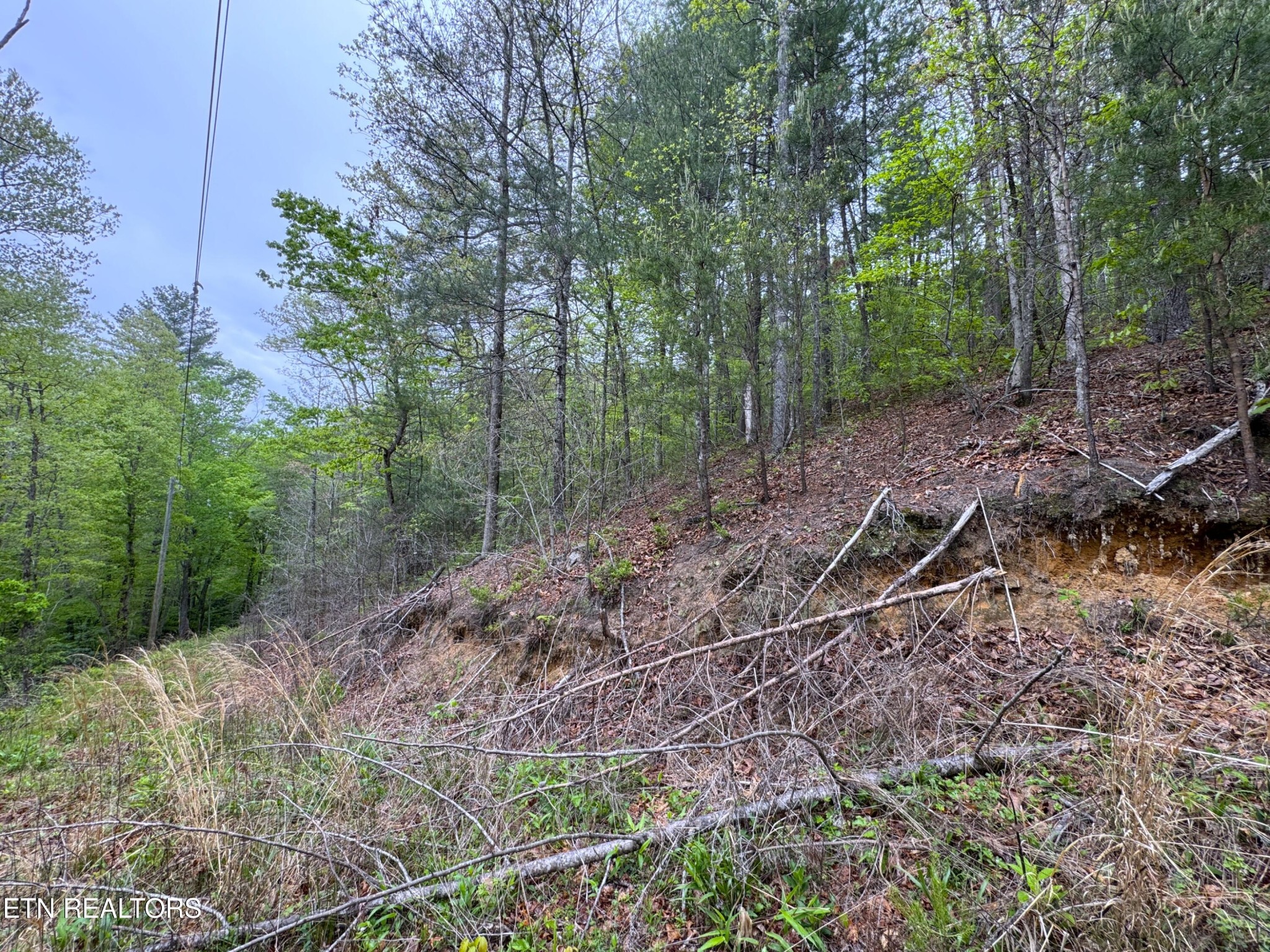 376 Summer House Hollow Rd Property Photo 4
