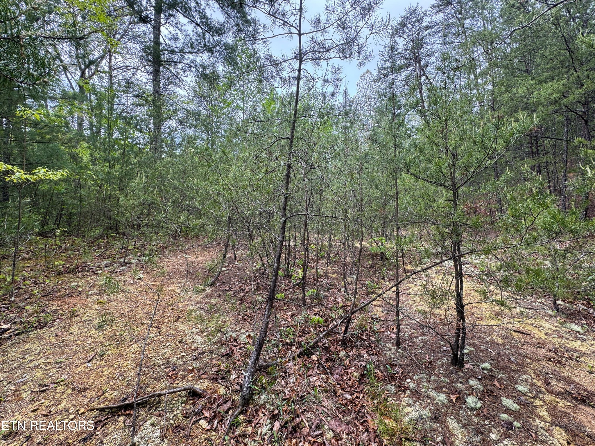 376 Summer House Hollow Rd Property Photo 10