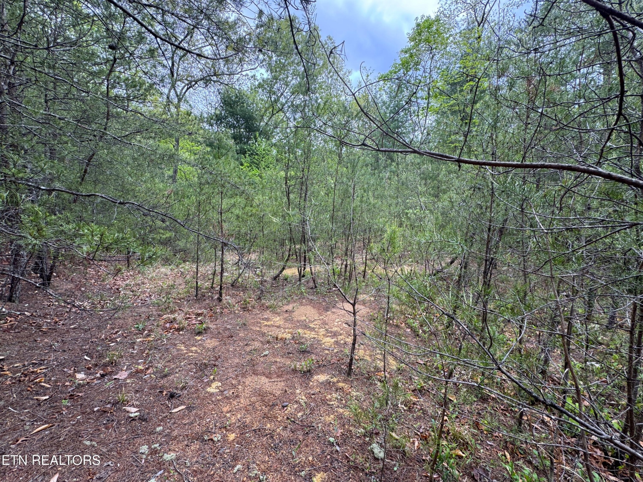 376 Summer House Hollow Rd Property Photo 14