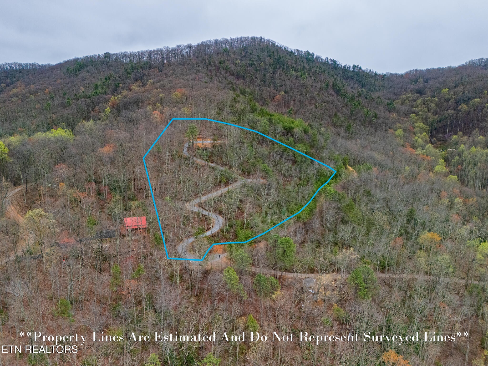 393 Green Forest Rd Property Photo 4