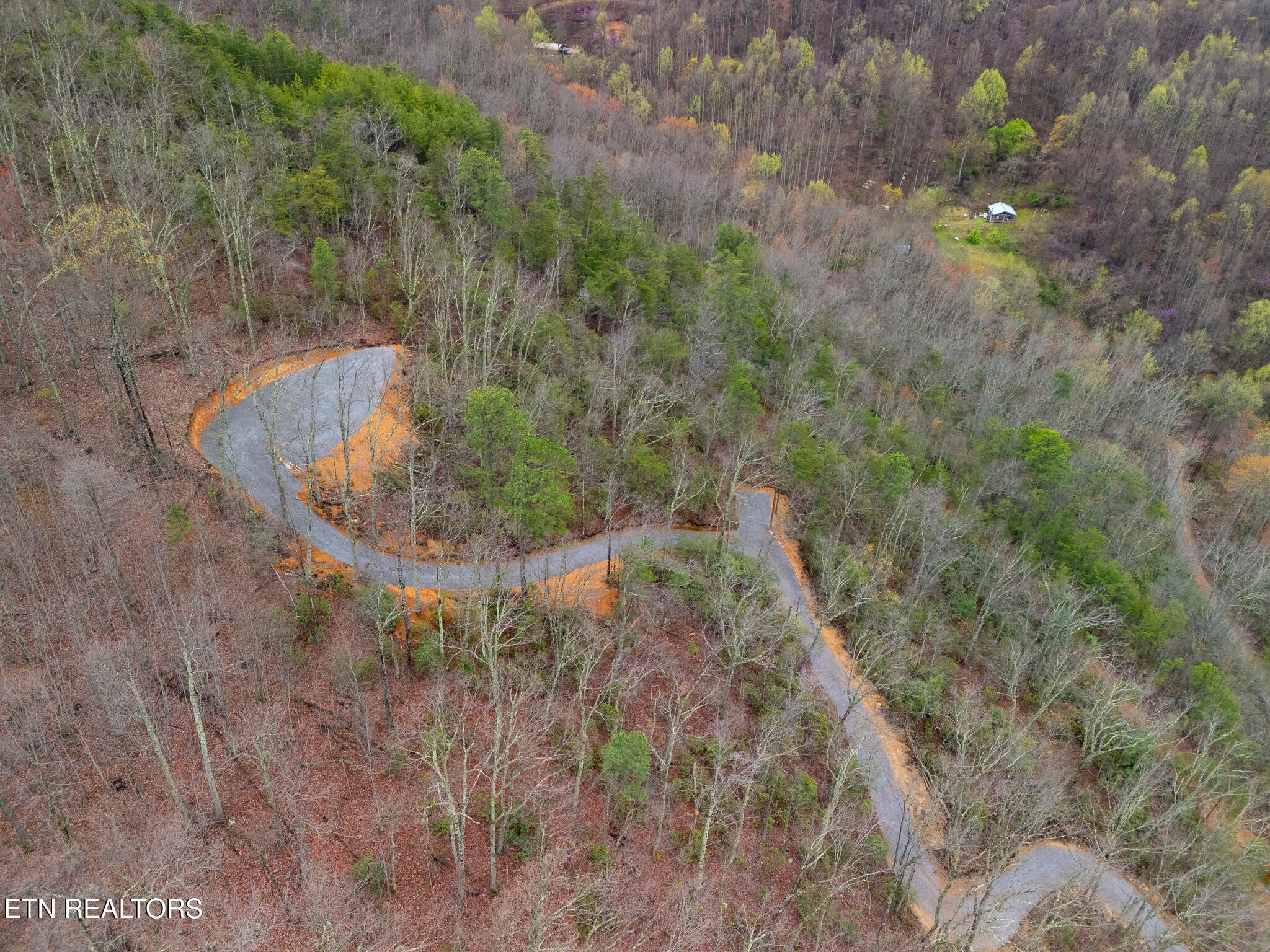 393 Green Forest Rd Property Photo 6