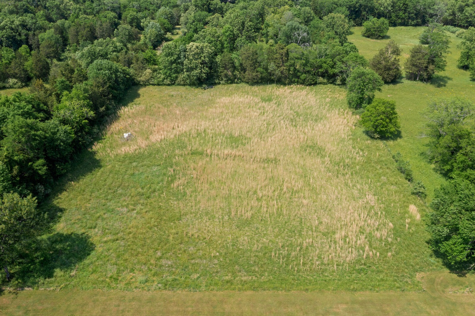 4100 Maxwell Rd Property Photo 17