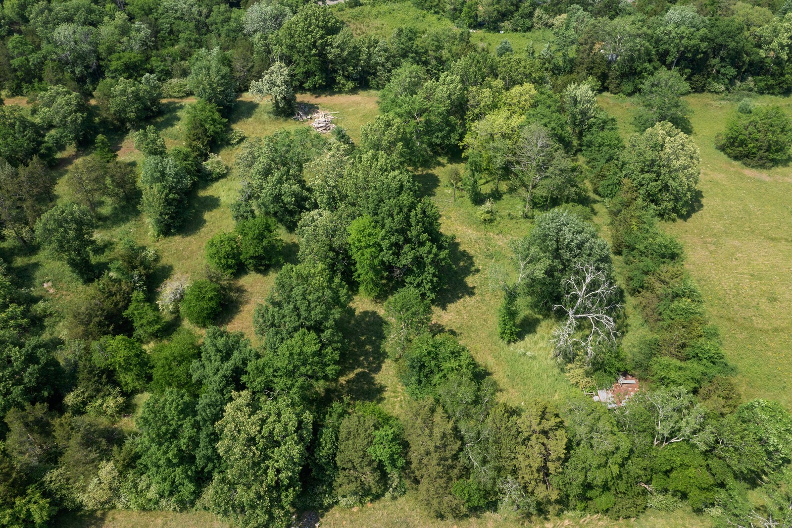 4100 Maxwell Rd Property Photo 18