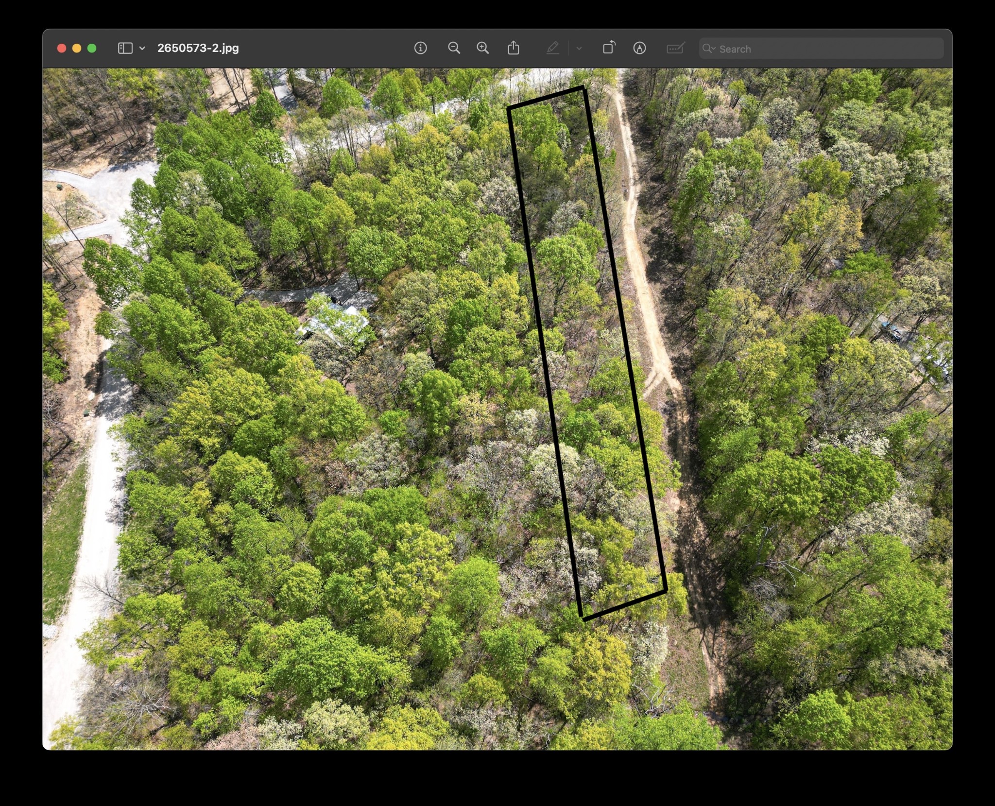 213 Sunset Bluff Way Property Photo 3