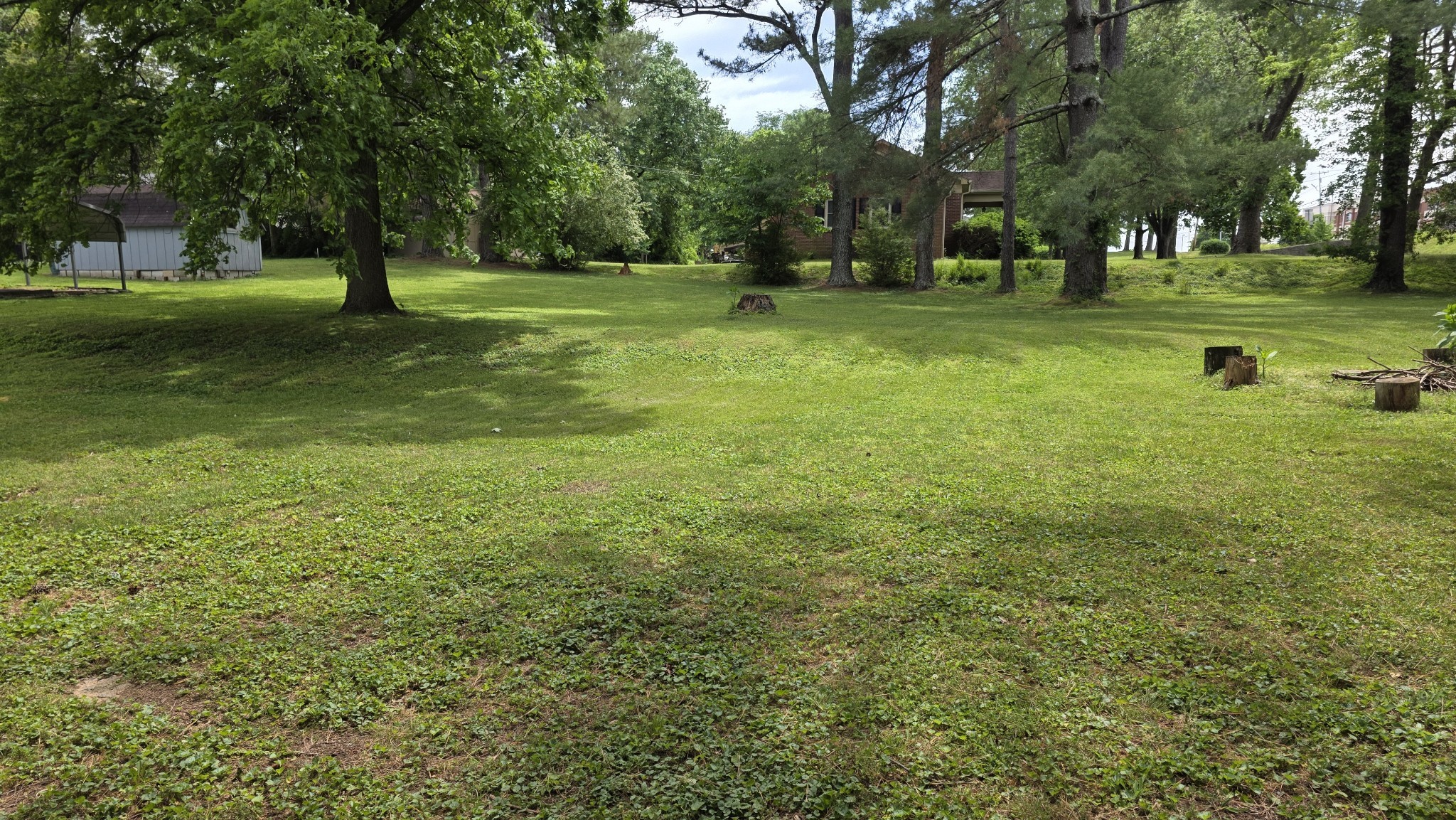 0 Lion Parkway Property Photo 3