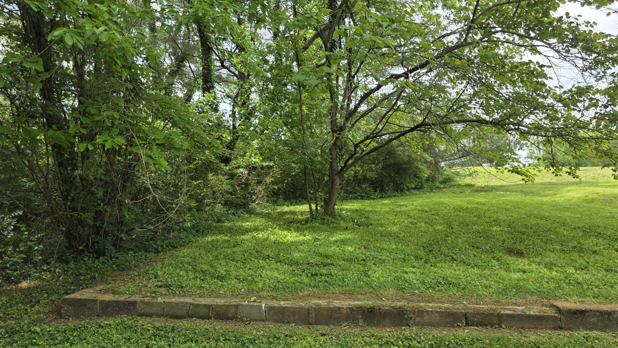 0 Lion Parkway Property Photo 4