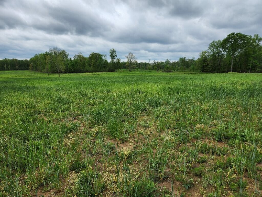 0 Indian Creek Rd Property Photo 1