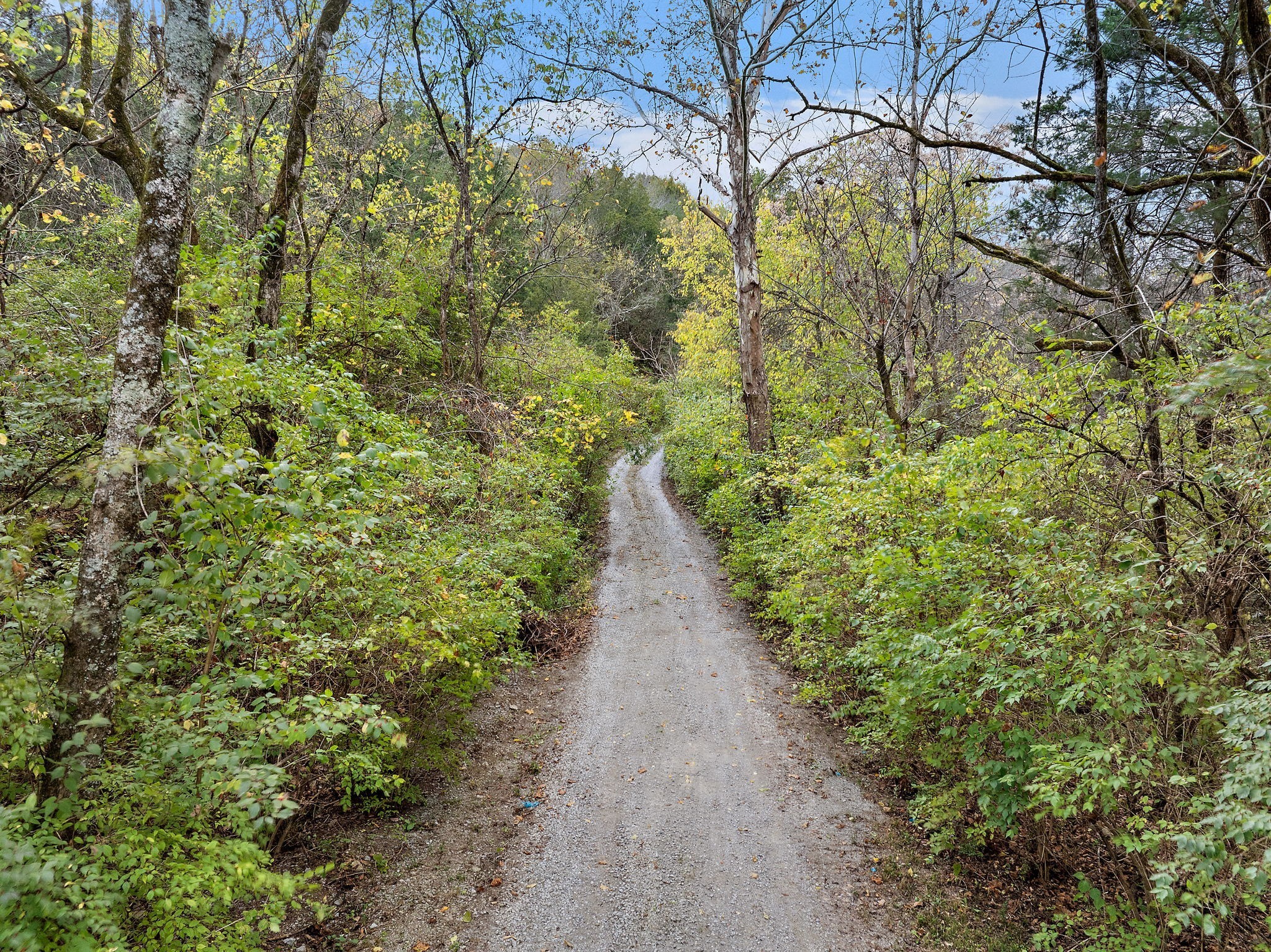 6916 River Road Pike Property Photo 1